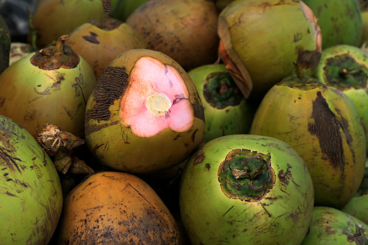 Close-up of fresh green coconuts showcasing their natural texture, ideal for tropical themes.