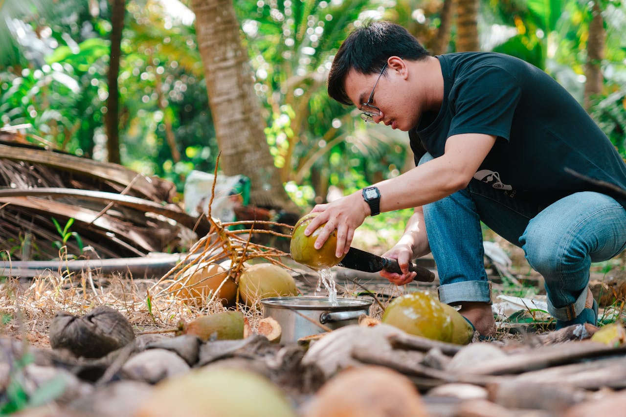 An adult man skillfully extracts coconut water in a lush tropical environment.