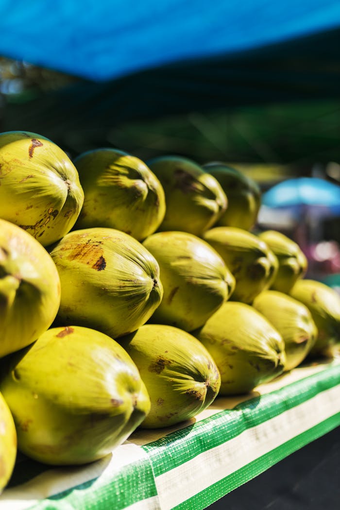 Stack of fresh green coconuts on a market stand, bathed in sunlight.