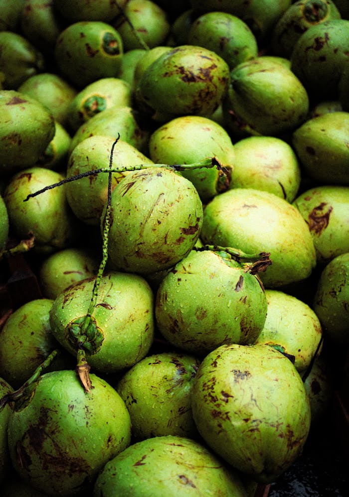 Bright and fresh green coconuts stacked together, showcasing tropical abundance.